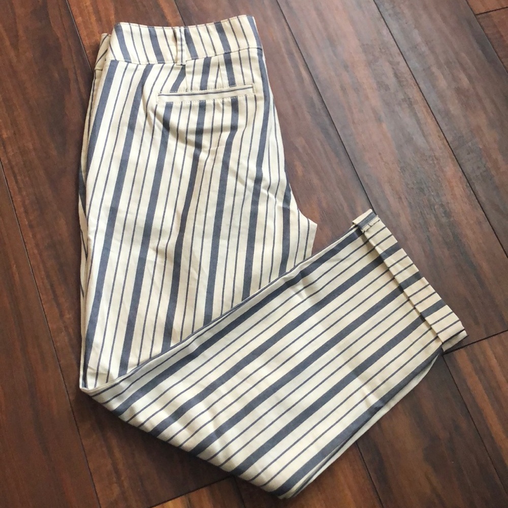 Loft pants